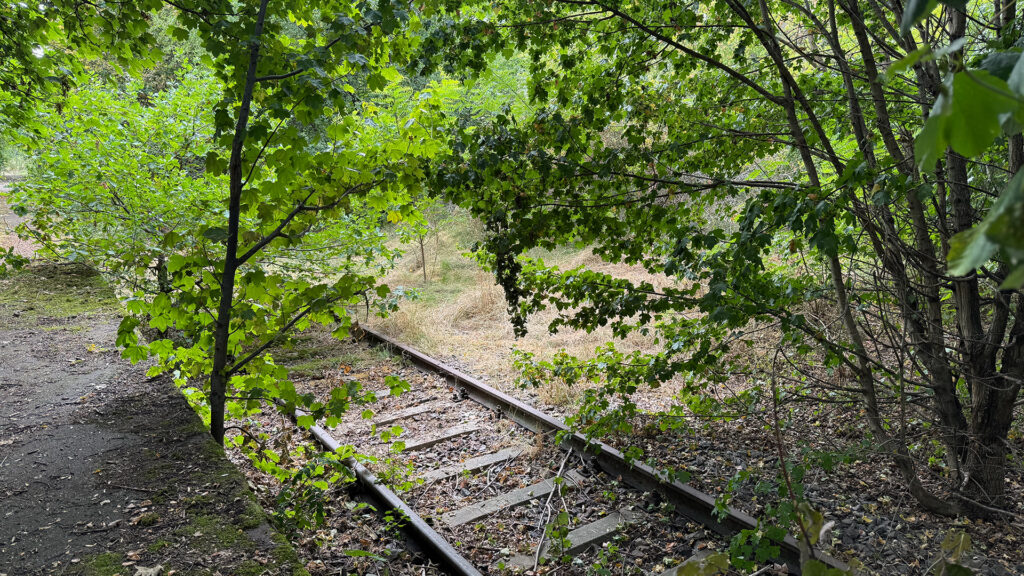 Riethschleuder Erfurt Bahnhof Bahnsteig
