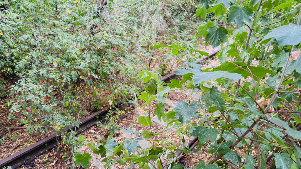 Riethschleuder Erfurt Bahnhof Bahnsteig