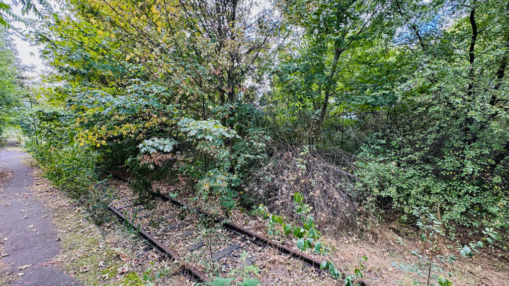 Riethschleuder Erfurt Bahnhof Bahnsteig