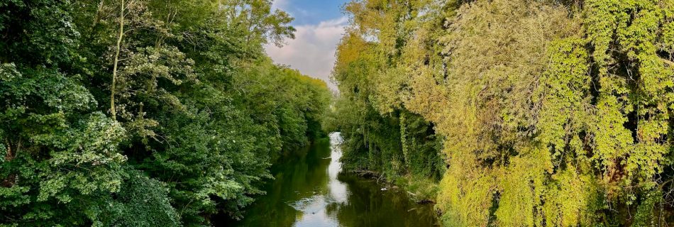 Autumn mood by the river