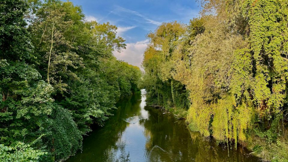 Autumn mood by the river