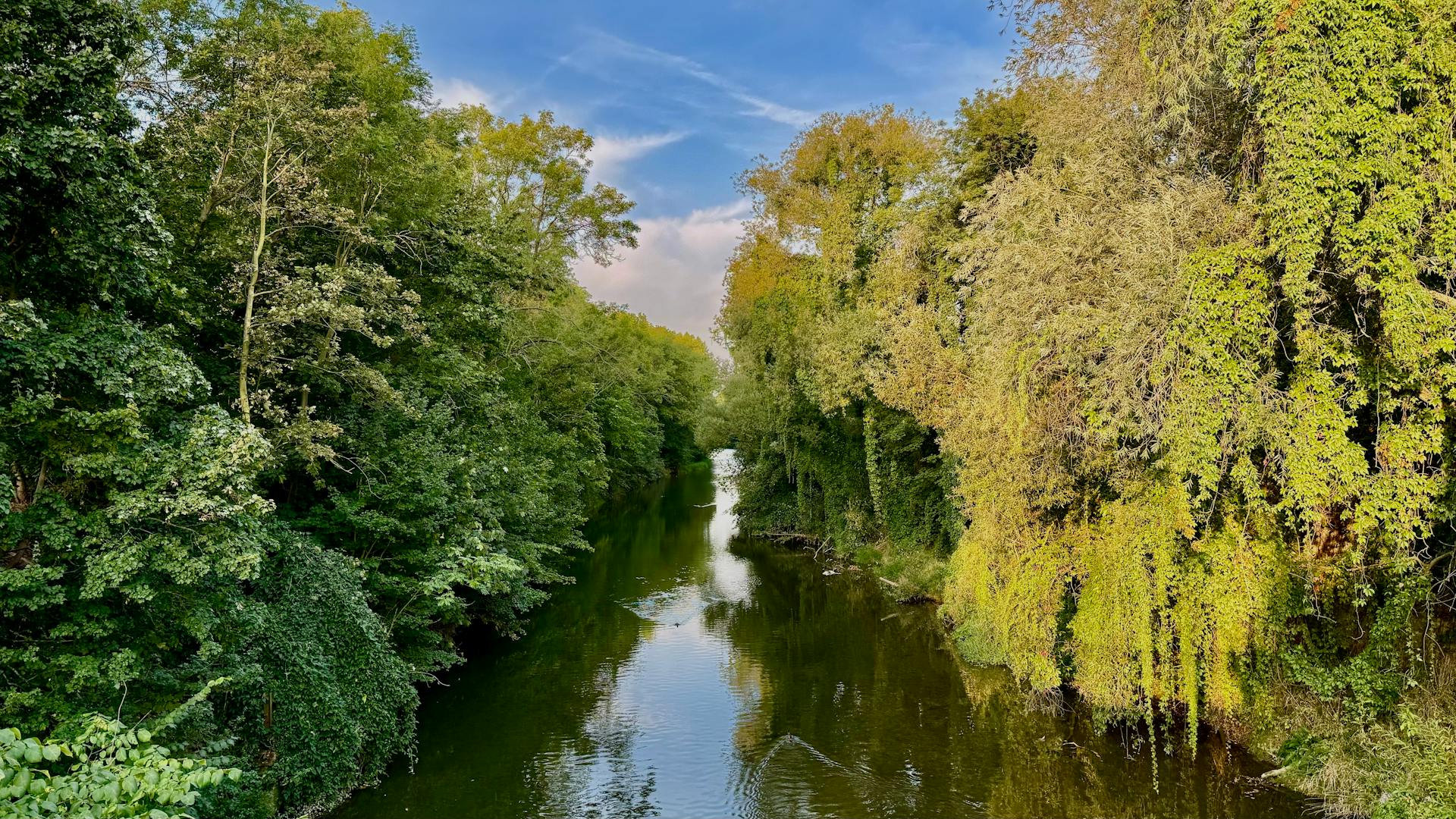Autumn mood by the river