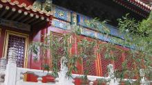 forbidden-city-beijing-7