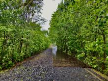 mahnmal-gleis-17-foto-3