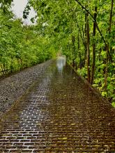 mahnmal-gleis-17-foto-4