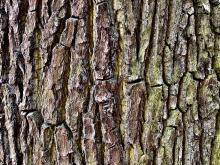 charlottenburg-lietzensee-11