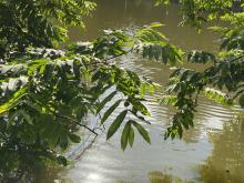 charlottenburg-lietzensee-4