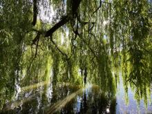 charlottenburg-lietzensee-5