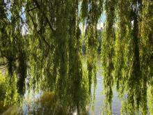 charlottenburg-lietzensee-6