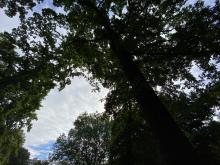 charlottenburg-lietzensee-7