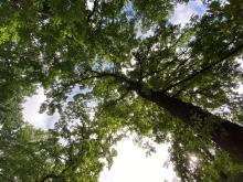 charlottenburg-lietzensee-8