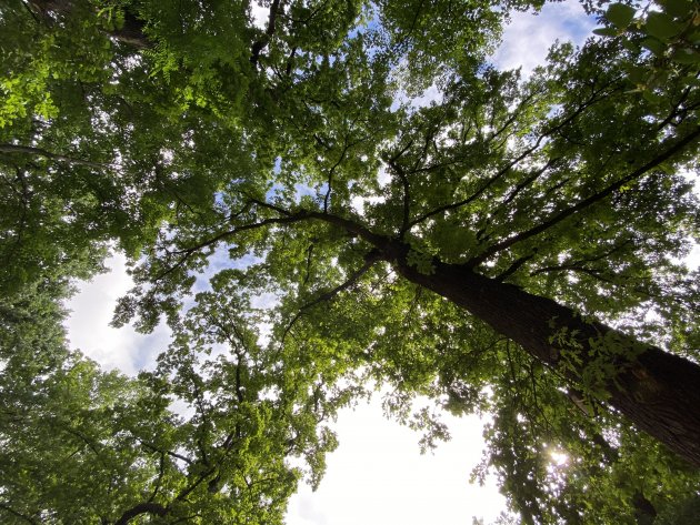 charlottenburg-lietzensee-8