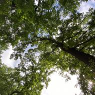 charlottenburg-lietzensee-8