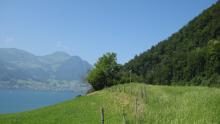 switzerland-landscape-126