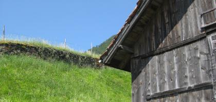 Switzerland Landscapes