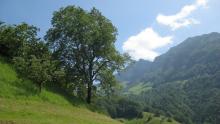 switzerland-landscape-134