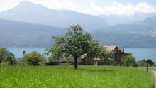 switzerland-landscape-135