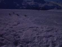 switzerland-landscape-15