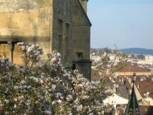 switzerland-landscape-263