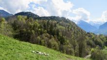 switzerland-landscape-67