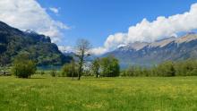 switzerland-landscape-74