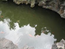 Shanghai_China_Snapshot_146