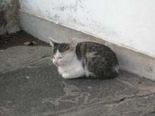 Shanghai_China_Snapshot_174