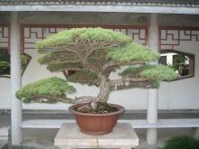 Shanghai_China_Snapshot_177