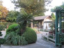 Shanghai_China_Snapshot_180