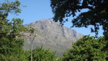 south-africa-western-cape-town-1263