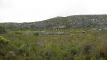 south-africa-western-cape-town-640