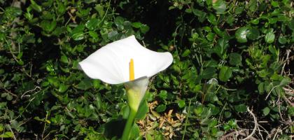 Western Cape South Africa