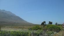 south-africa-western-cape-town-701