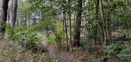 Summer House of Eva Braun